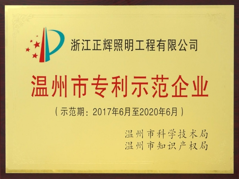 溫州市專利示范企業